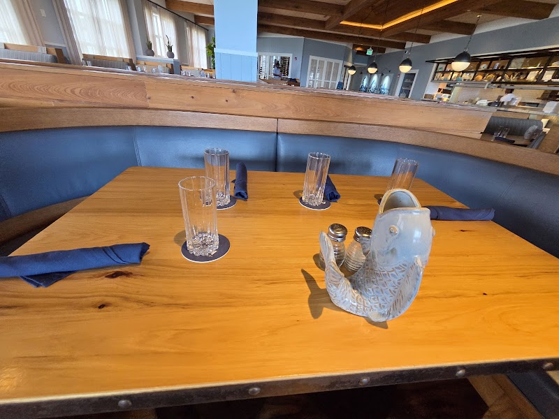 Fish Out of Water photo 5