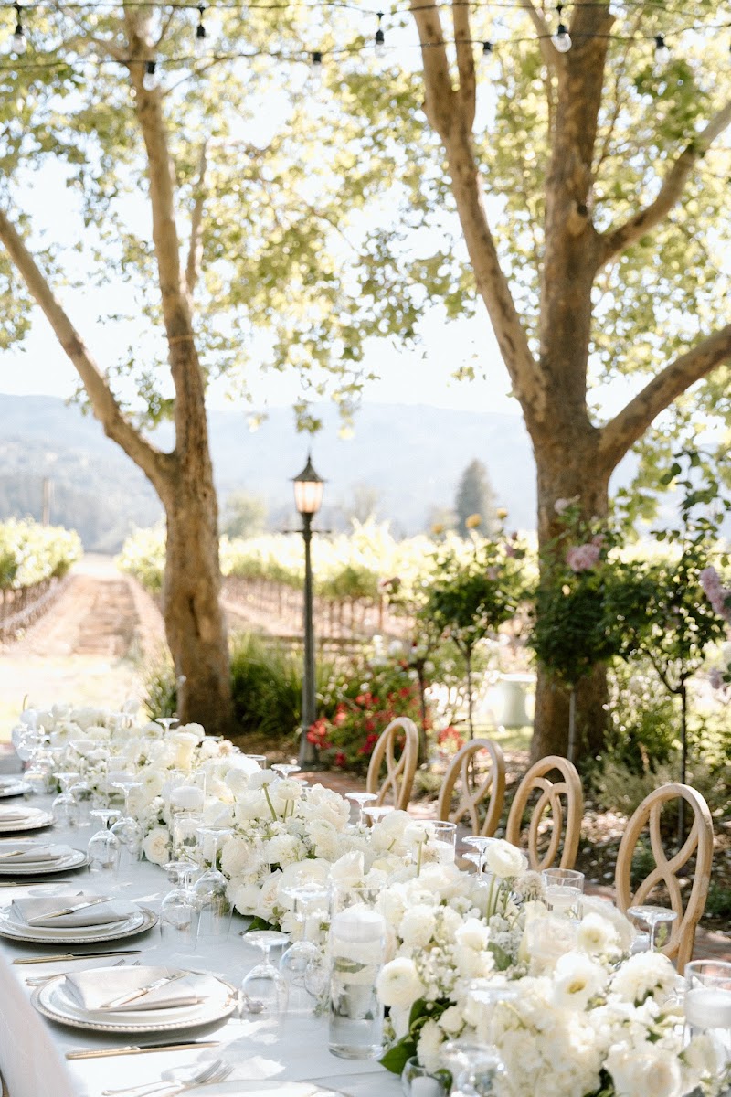 Run Away With Me Elopements and Weddings photo 4