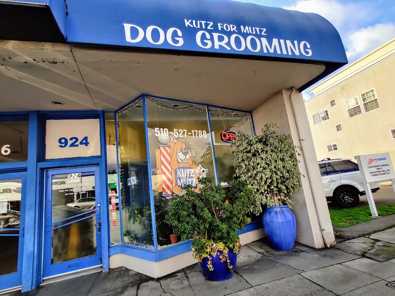 Kutz For Mutz Dog Grooming photo 4
