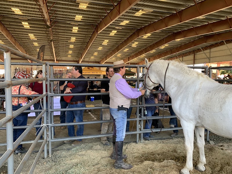 Seventy-seven Equestrian Center photo 3