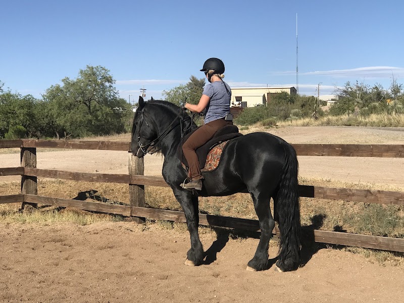 Seventy-seven Equestrian Center photo 2
