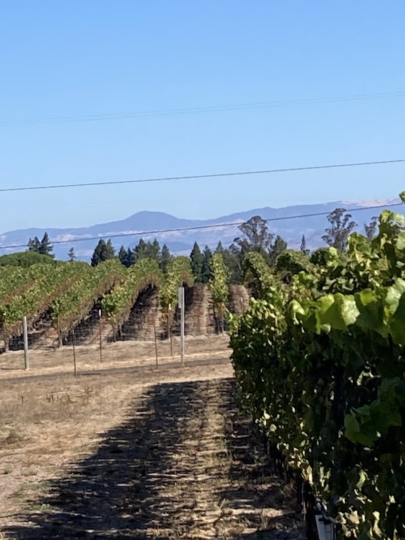 Reichwage Winery photo 2