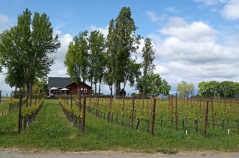 Reichwage Winery photo 3