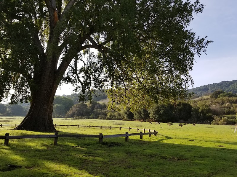 Rancho San Antonio County Park & Open Space Preserve photo 5