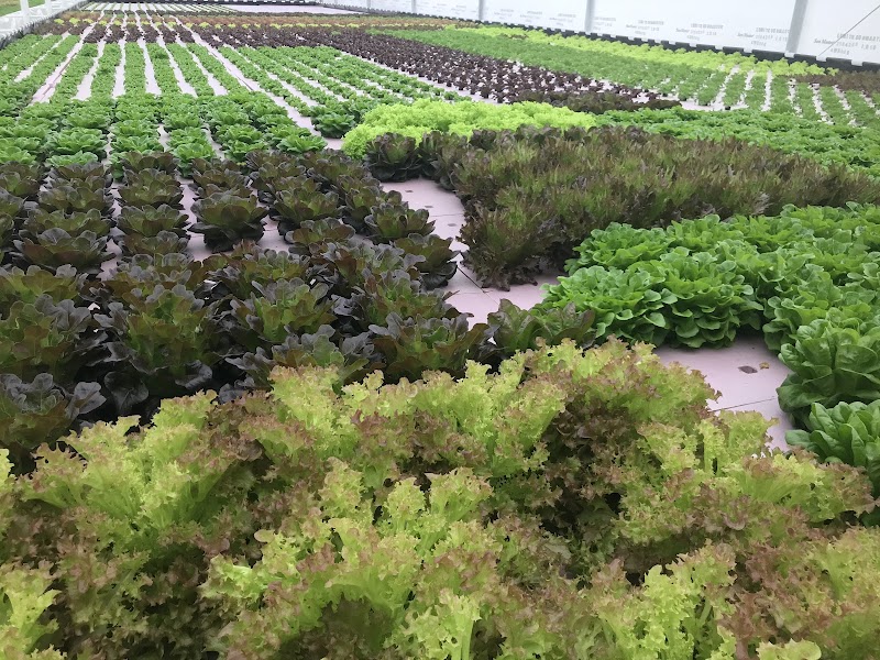 Photo of The Family Farm
