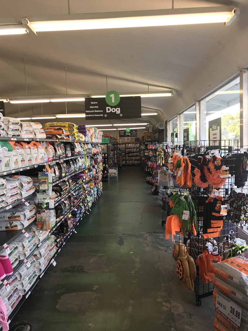 Pet Supplies Plus Stockton photo 2