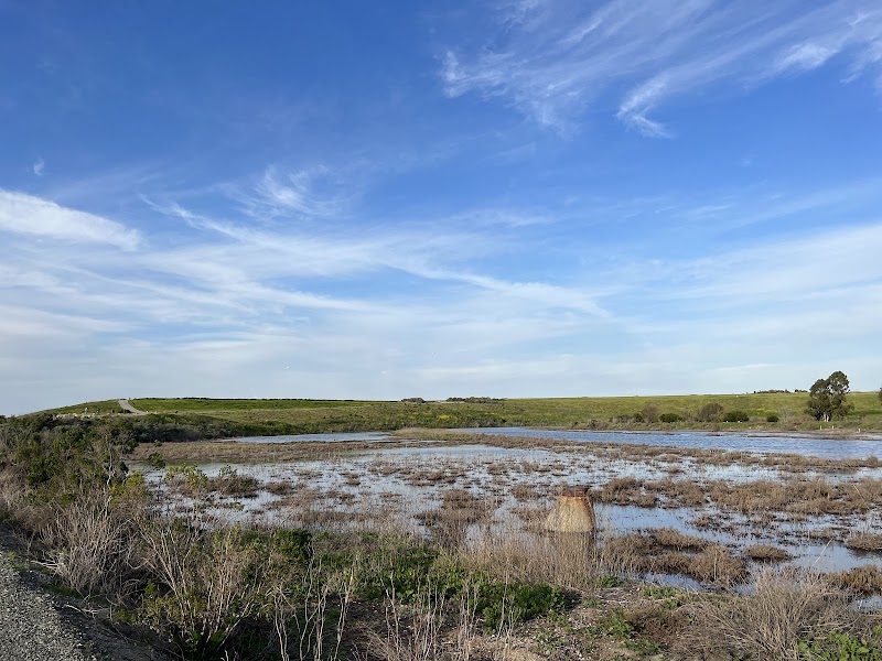 Photo of Adobe Creek Pier (Palo Alto)