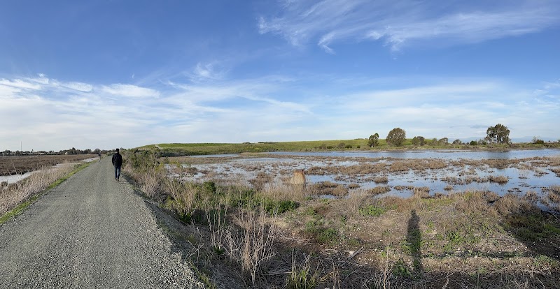 Adobe Creek Pier (Palo Alto) photo 4