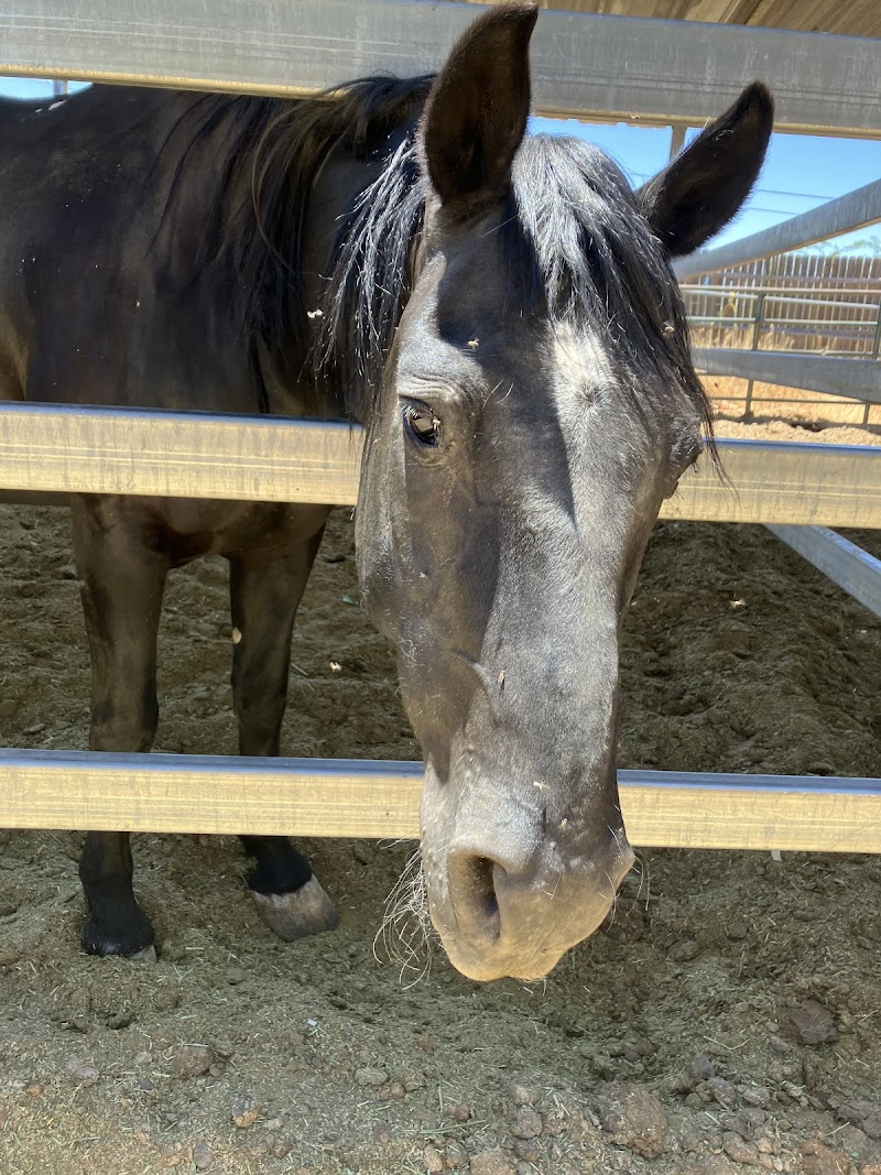 Circle m ranch large animal removal and boarding photo 2