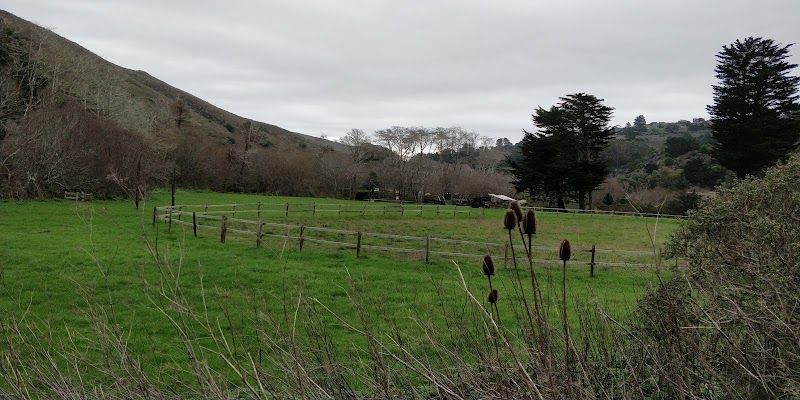 Lone Tree photo 4