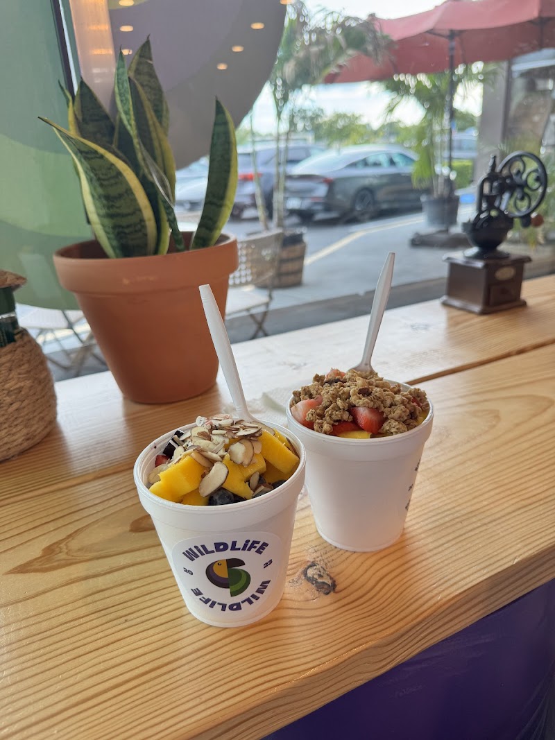 Wildlife Açaí & Café photo 3