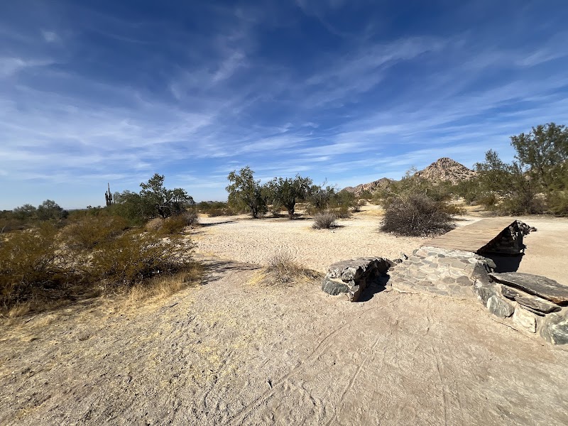 The Tallest Saguaro photo 4