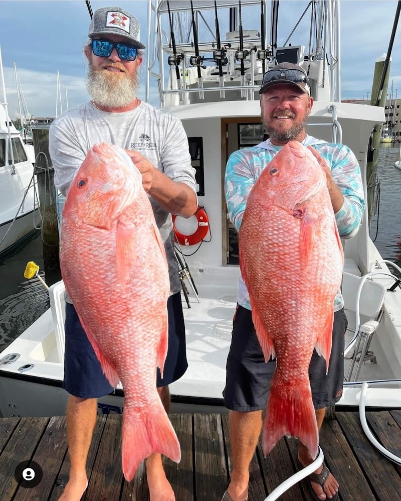 Reel Deal Sportfishing photo 3