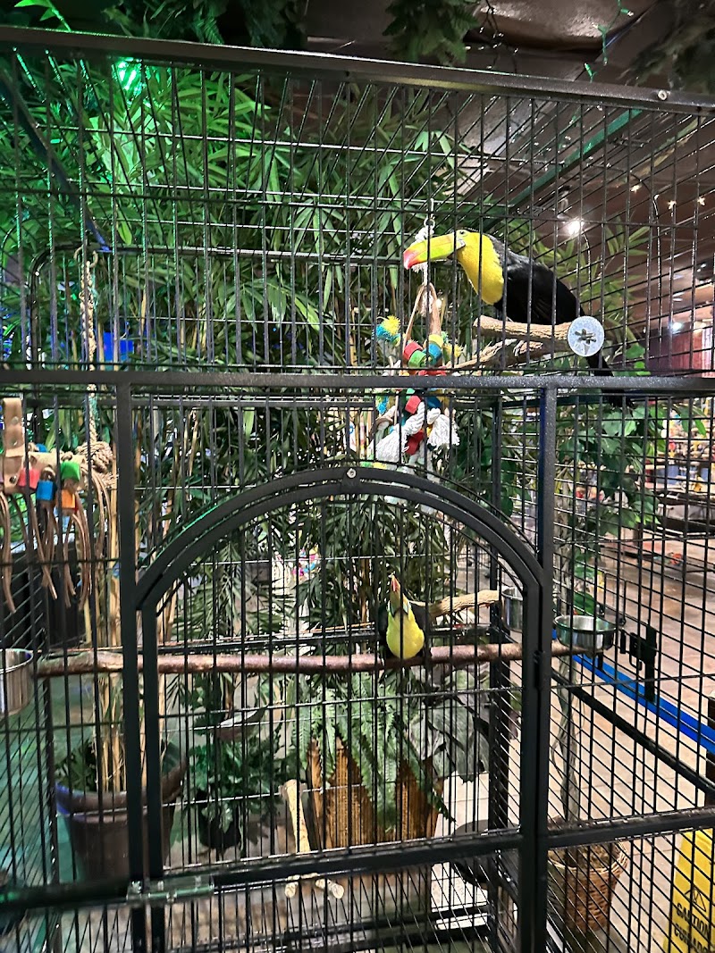 Pet Kingdom photo 2