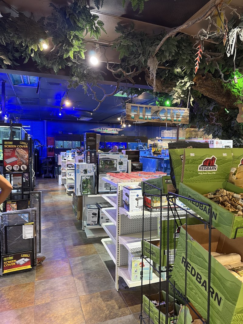 Pet Kingdom photo 4