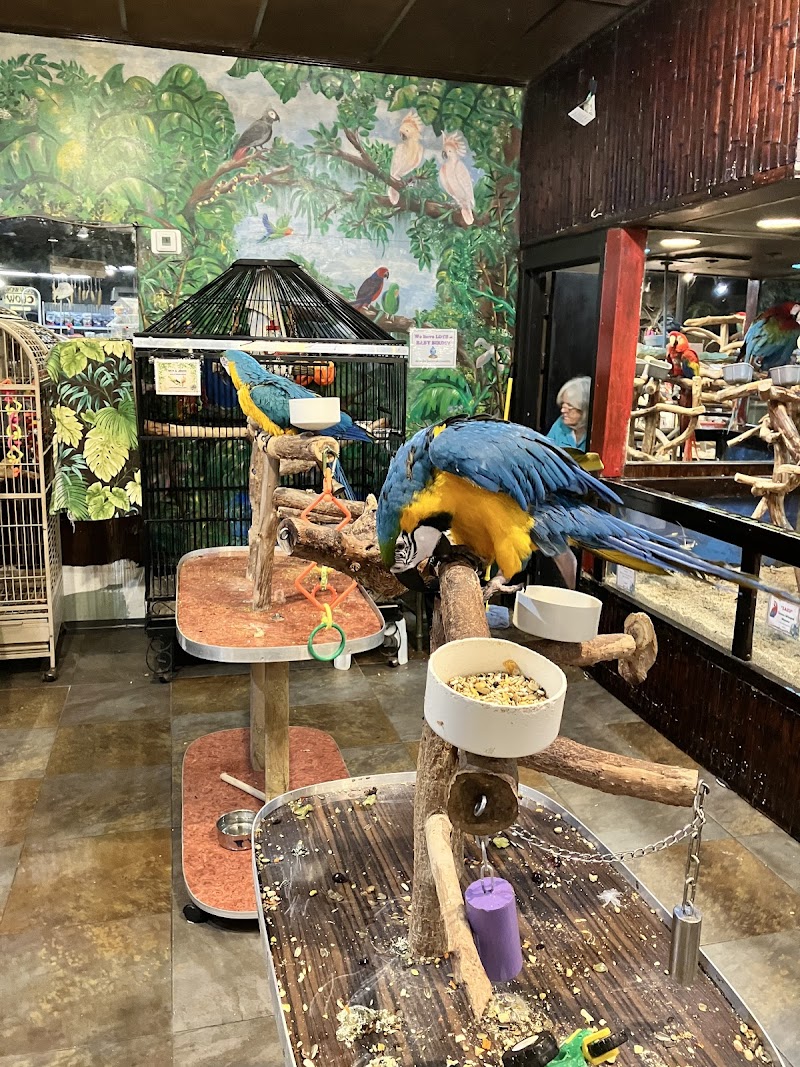 Pet Kingdom photo 3