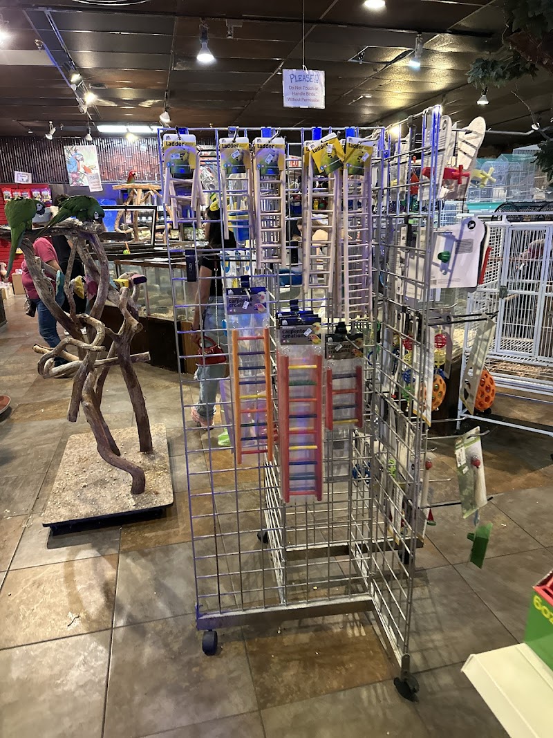 Pet Kingdom photo 5