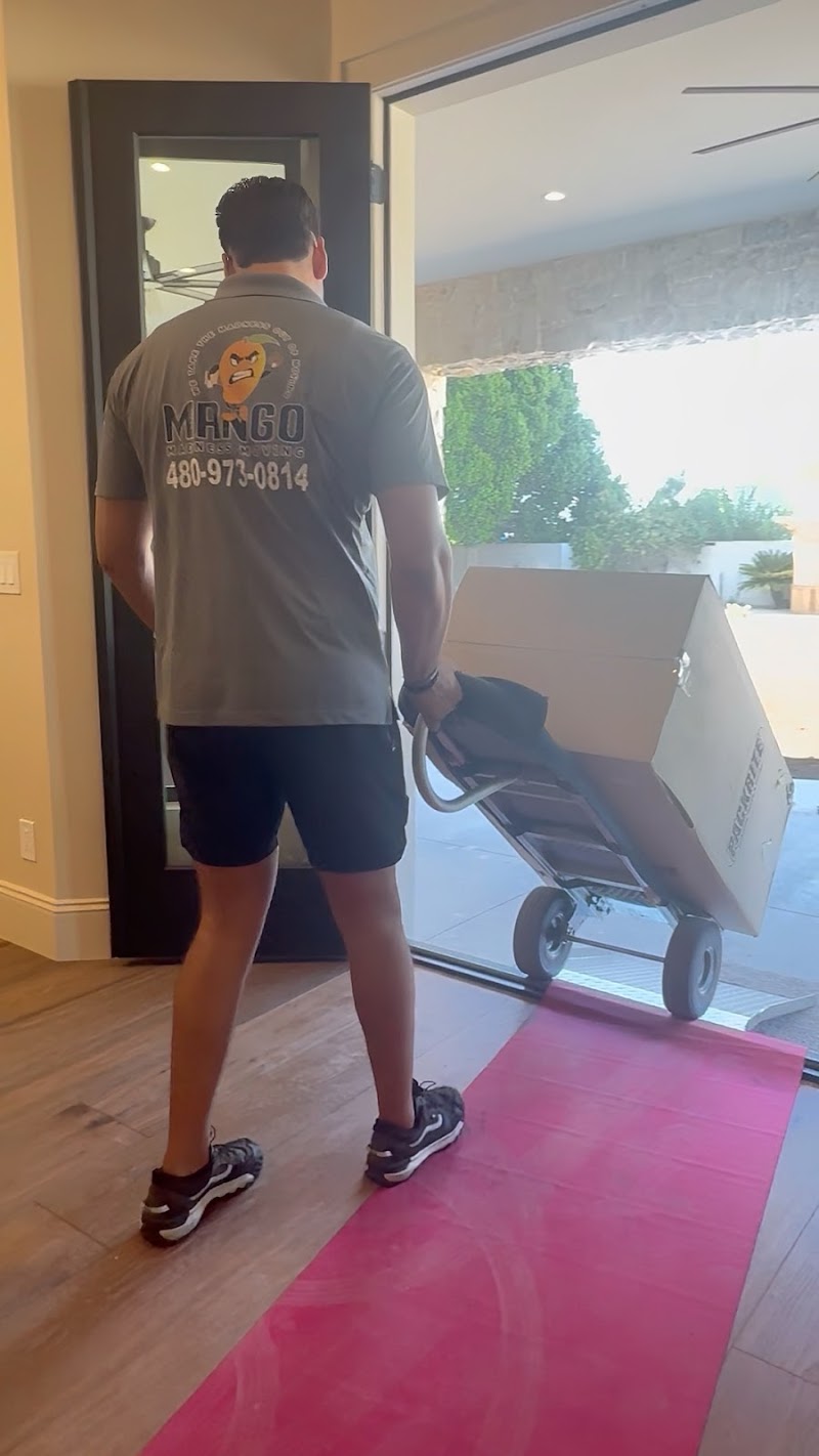 Mango Madness Moving LLC photo 4