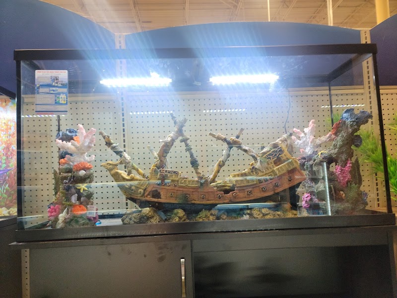 PetSmart photo 5