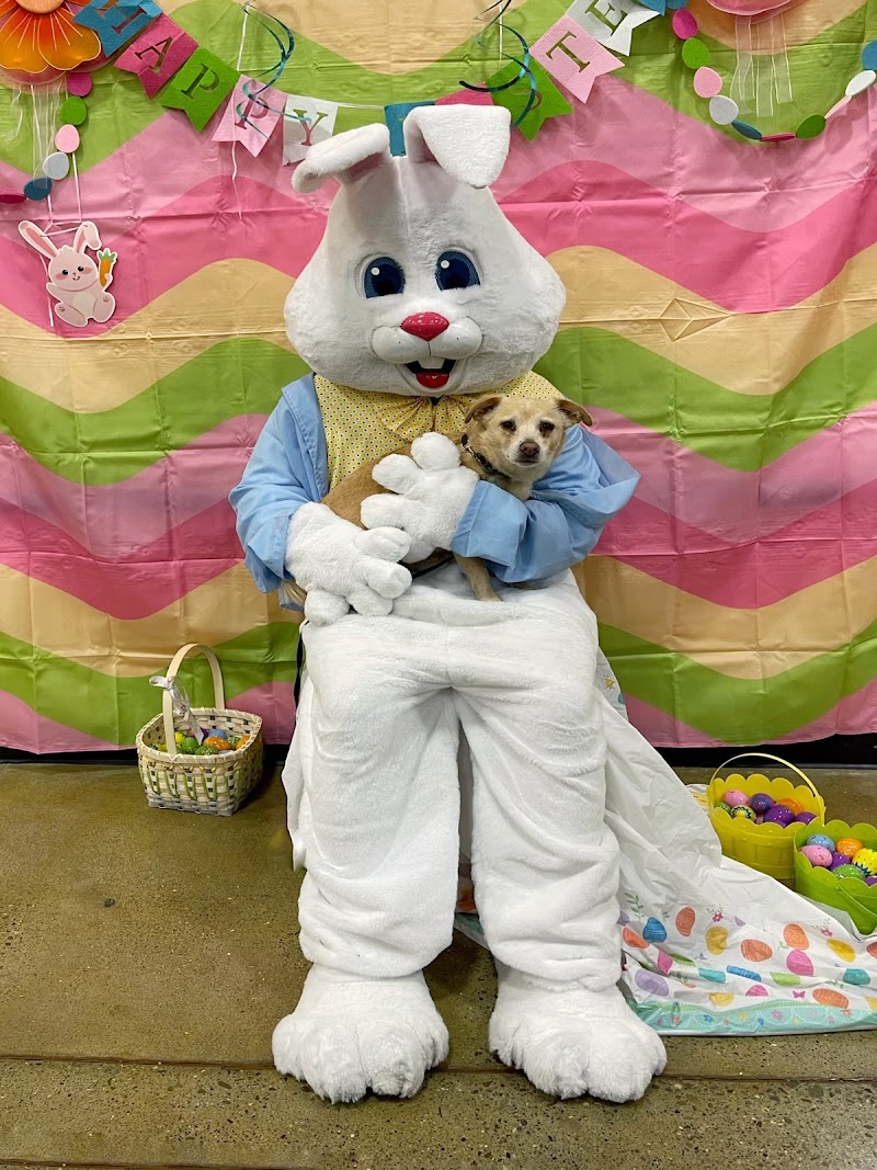 PetSmart photo 4