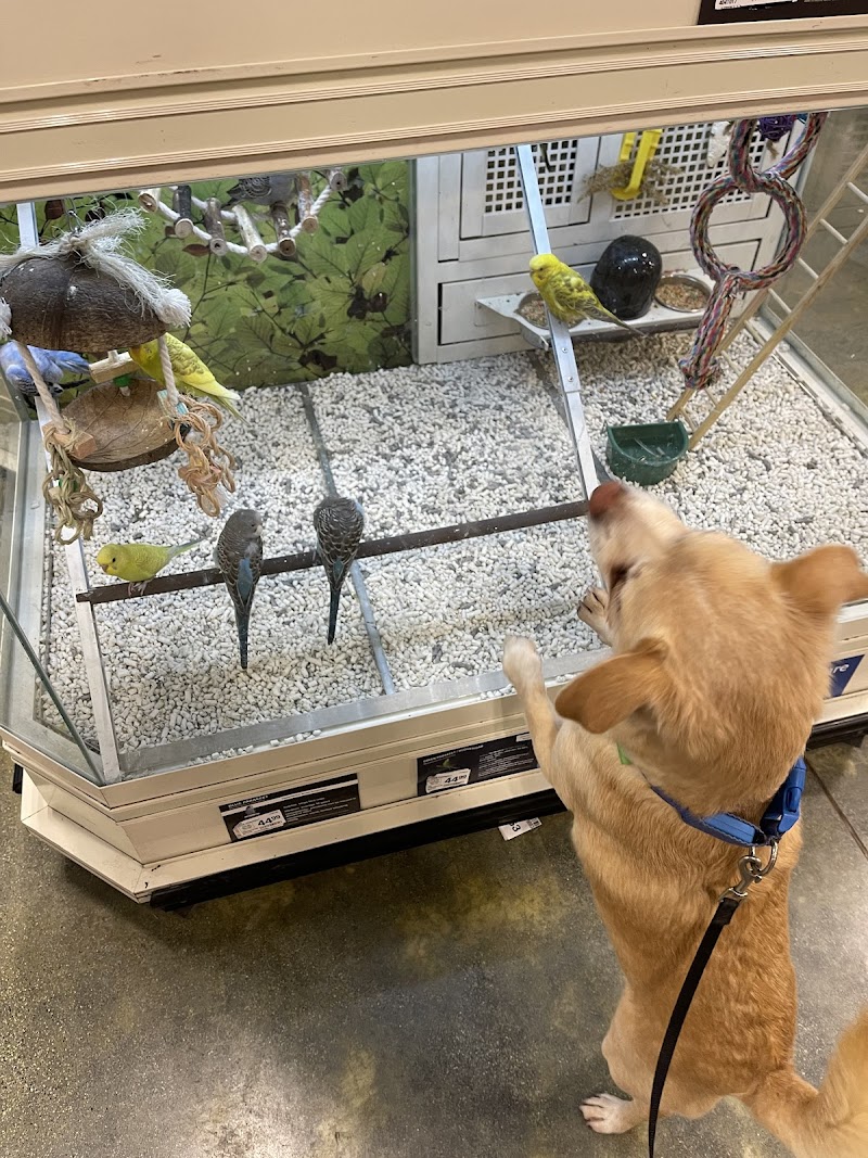 PetSmart photo 3