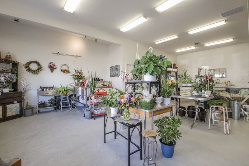 Donnelly Floral & Event Design photo 3