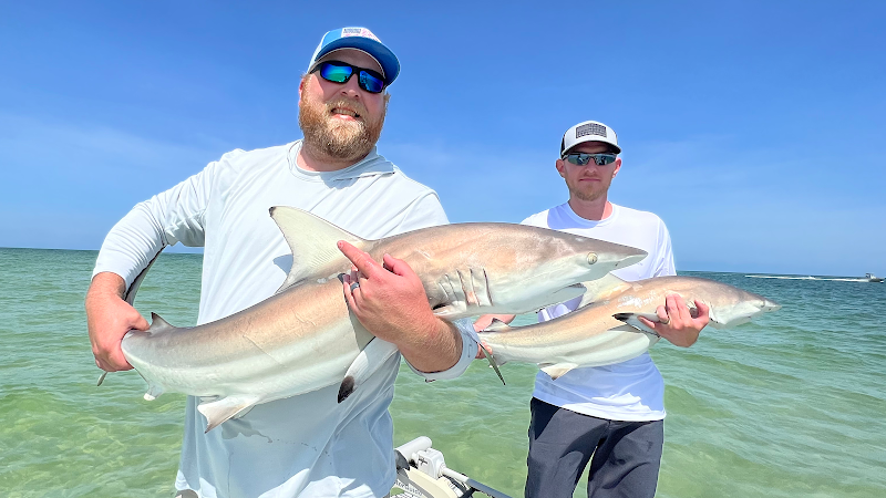 Photo of Clearwater Fishing Charters Capt Will Burbach