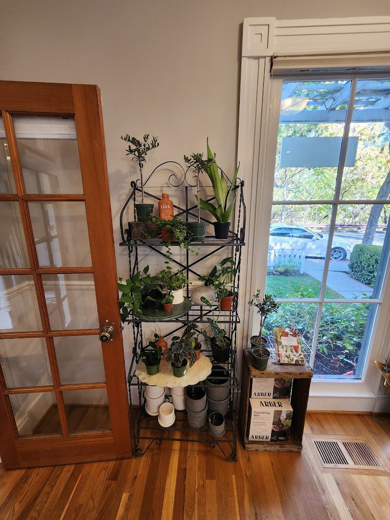 Casa V Floral Design Studio photo 3