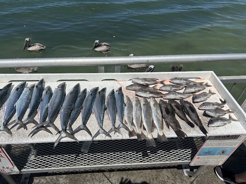 Edgewater Fishing Charters photo 3