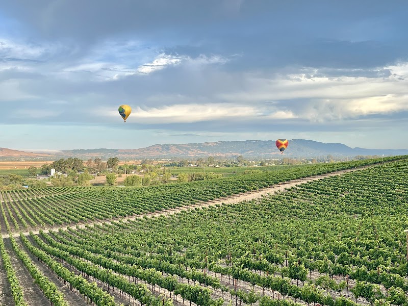 Sonoma Ballooning photo 4