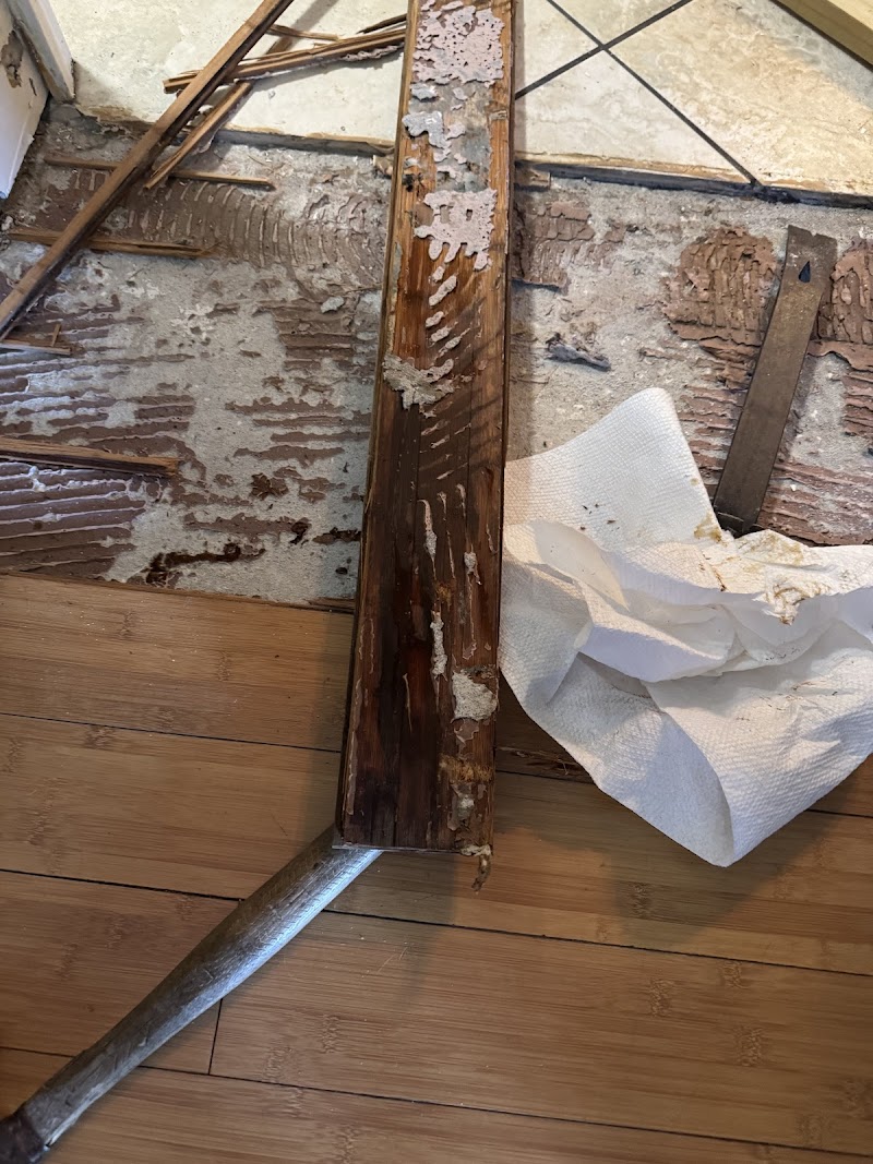 Lightning Restoration photo 4