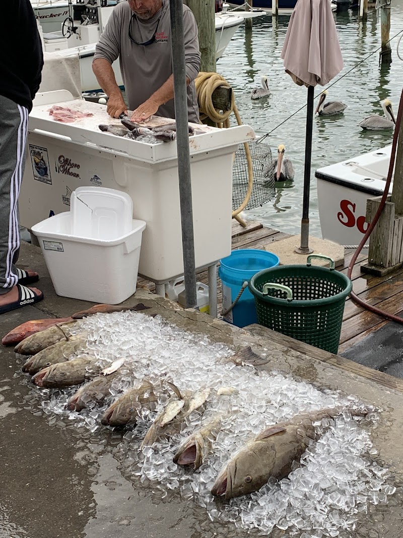 Salt Cracker Charters photo 2