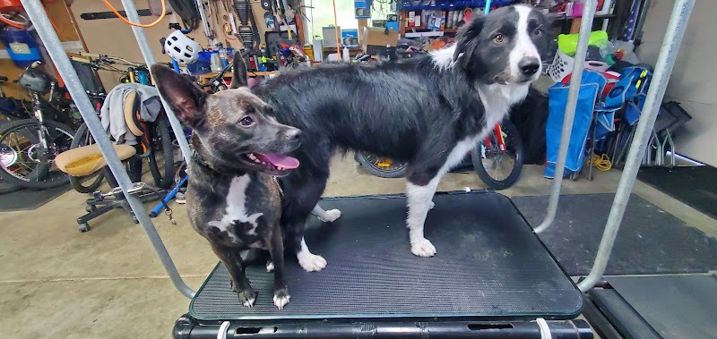 Smarty Paws Grooming photo 2