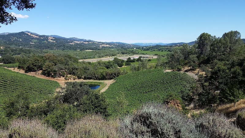 Photo of Icaria Creek Winery
