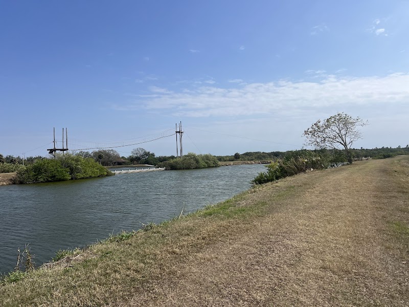 Photo of Oldsmar Trail Mobbly Bayou Preserve