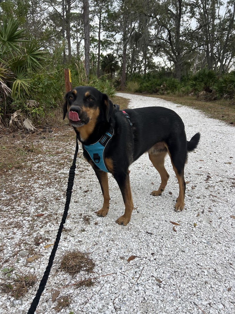 Oldsmar Trail Mobbly Bayou Preserve photo 3
