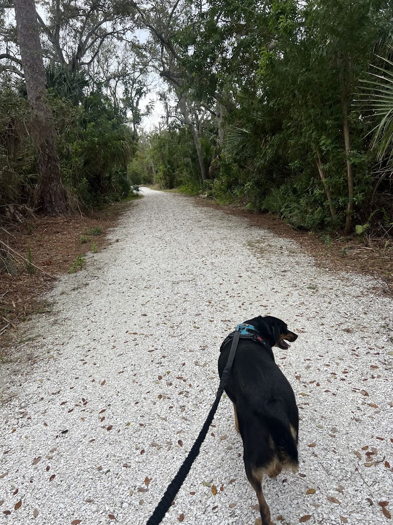 Oldsmar Trail Mobbly Bayou Preserve photo 2