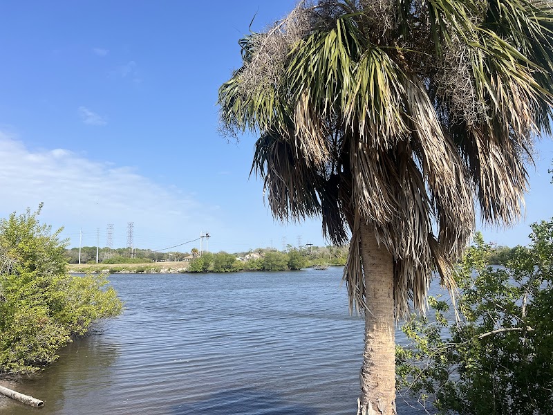 Oldsmar Trail Mobbly Bayou Preserve photo 4