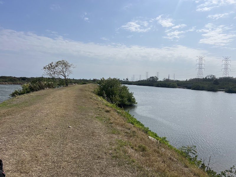 Oldsmar Trail Mobbly Bayou Preserve photo 5