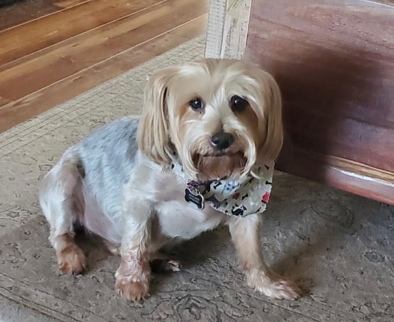 Goin' to Grandma's photo 4