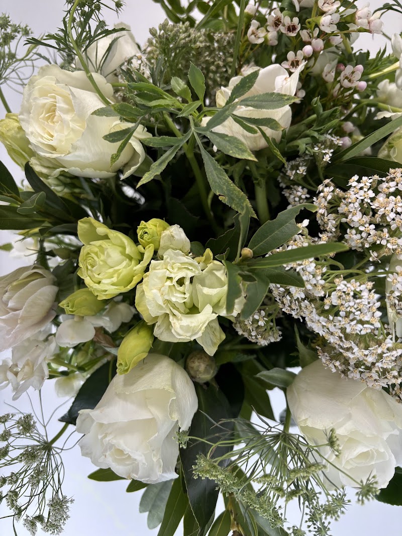 Jenny Barker The Flower Doctor Magical Blooms photo 4