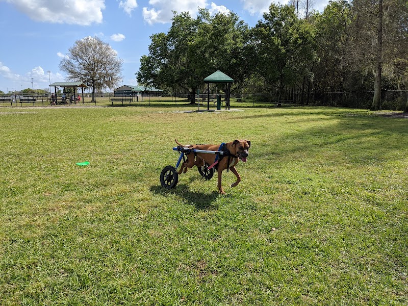 Photo of Diogi Dog Park
