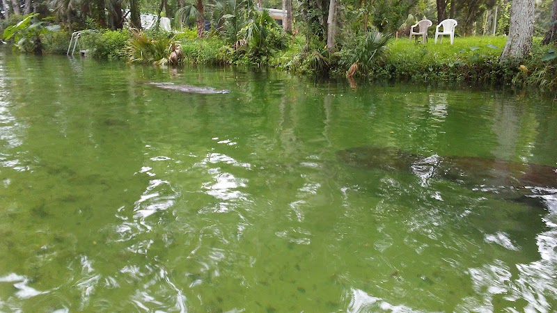 US 19 & Weeki Wachee Springs photo 2
