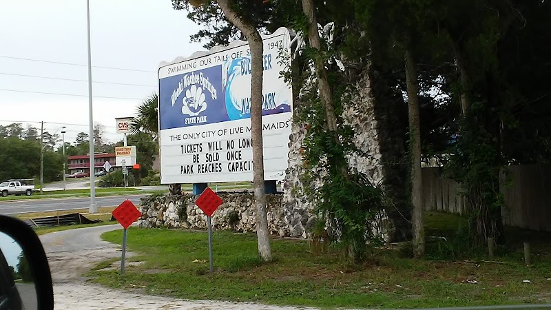 US 19 & Weeki Wachee Springs photo 3