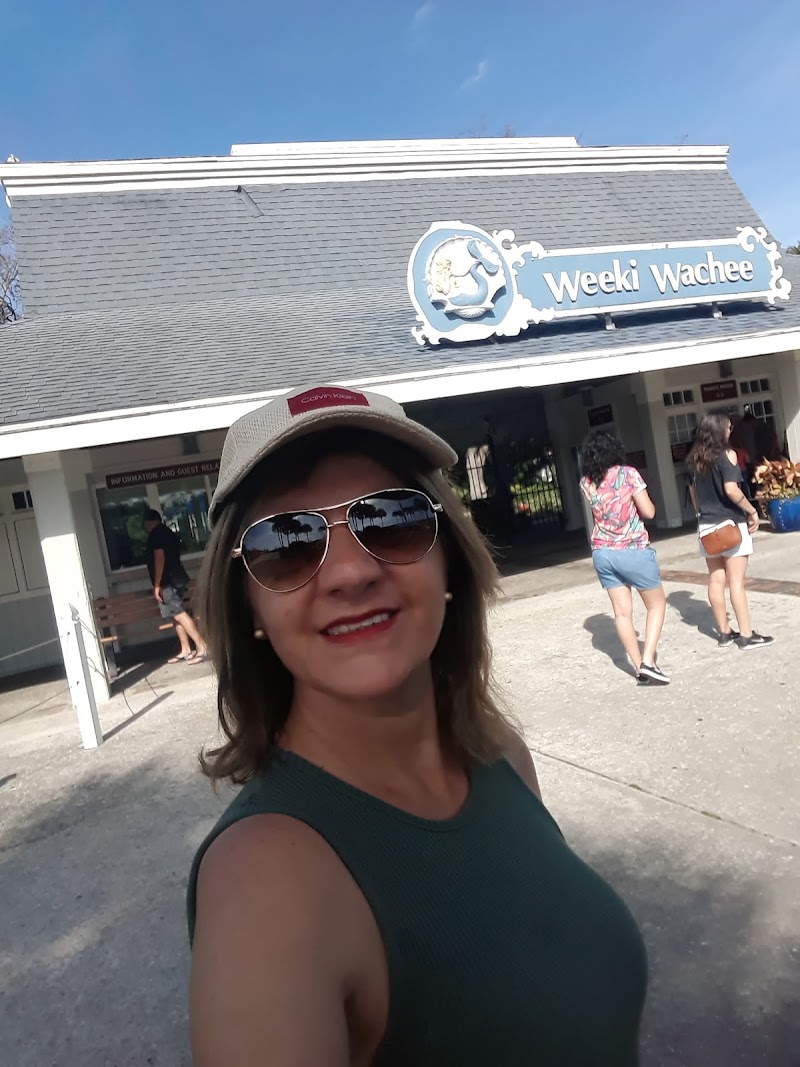 US 19 & Weeki Wachee Springs photo 5