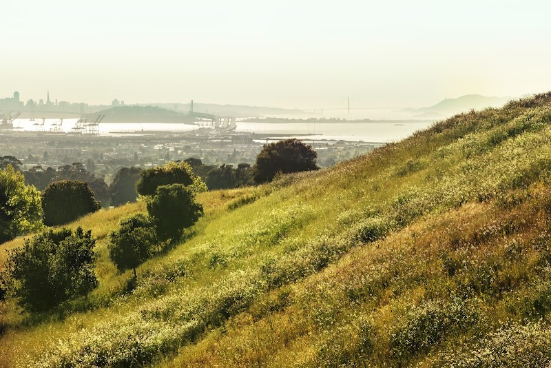 Photo of East Bay Family Law & Mediation PC