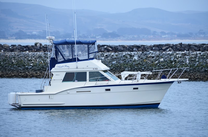 Mooch Better Fishing - Sport Fishing Charter photo 4