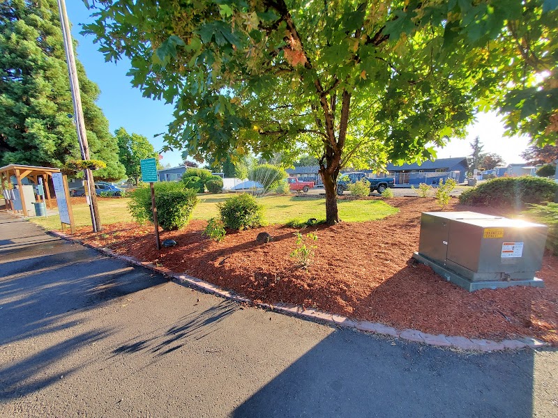 Sequoia Estates photo 4