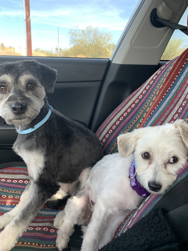 PetSmart photo 5