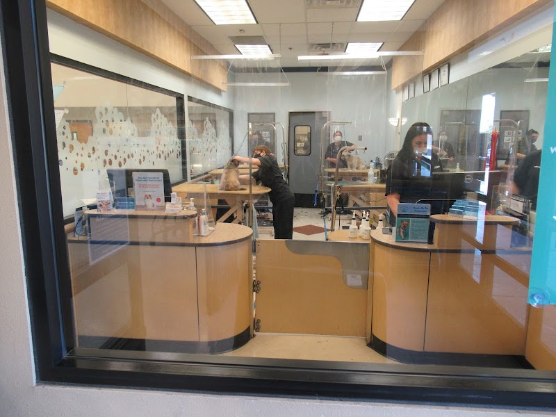 PetSmart photo 4